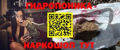 стаф Гусев