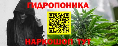 стаф Гусев