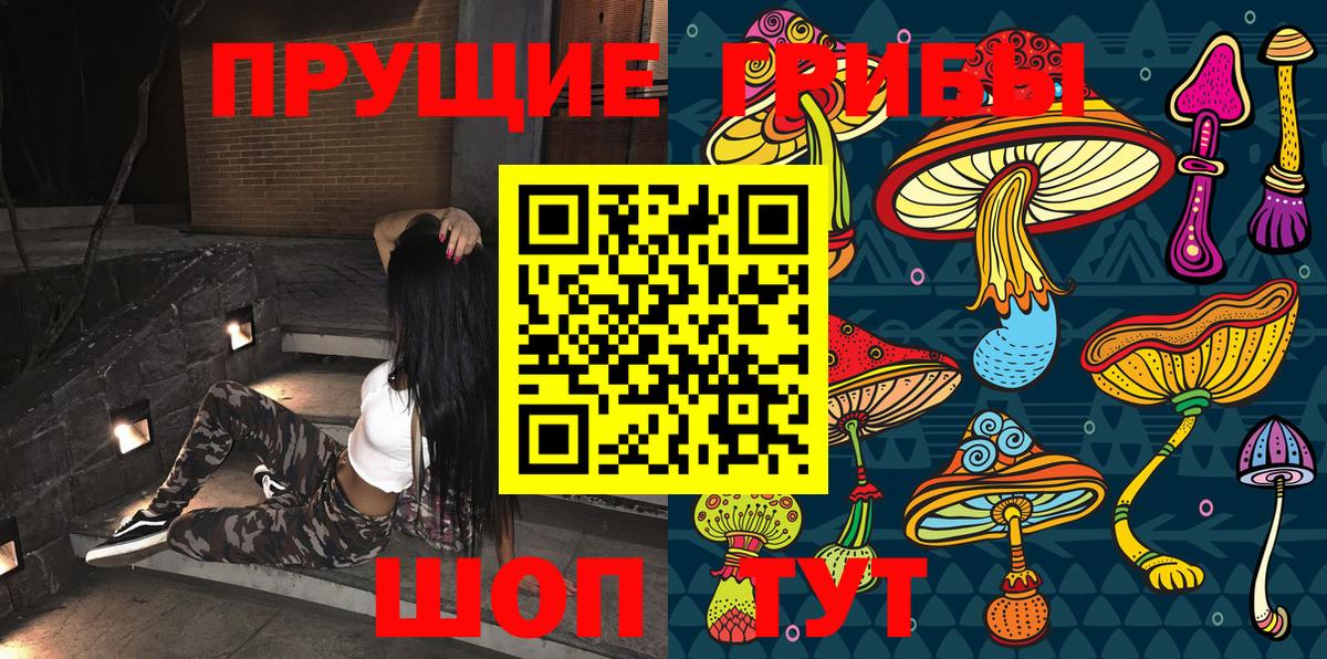 Псилоцибиновые грибы Magic Shrooms Карталы