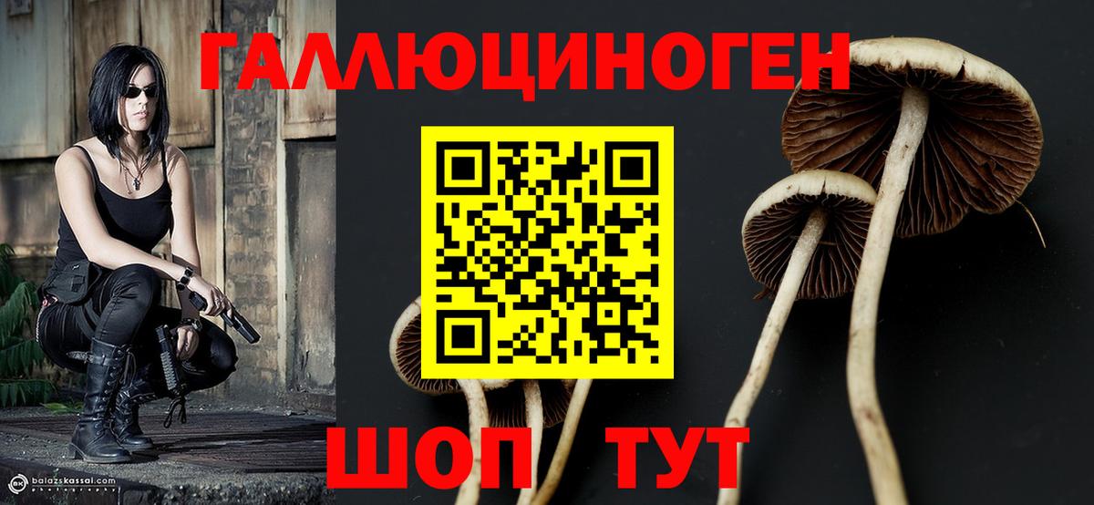 Карталы  Псилоцибиновые грибы Psilocybe  Вход с VPN 